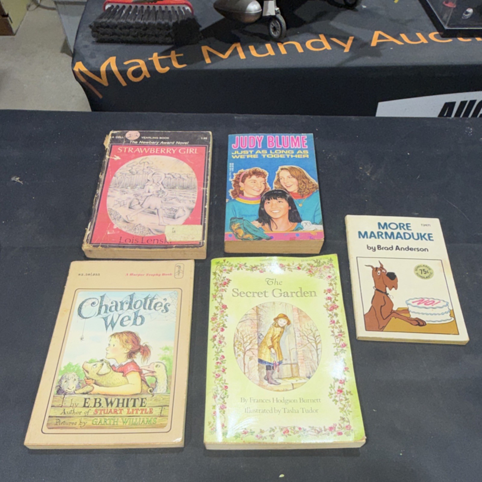 Vintage Children&rsquo;s Fiction Paperback Lot – Lenski, Blume, White, Burnett, 5 Boo…