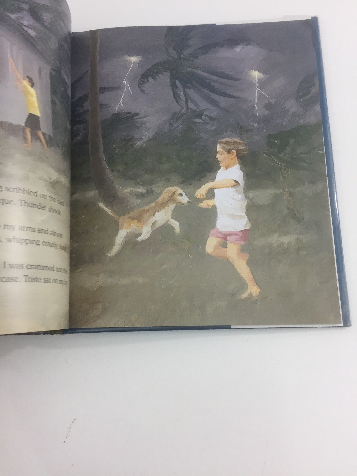 Hurricane! – Jonathan London (1998, Hardcover, Dust Jacket)