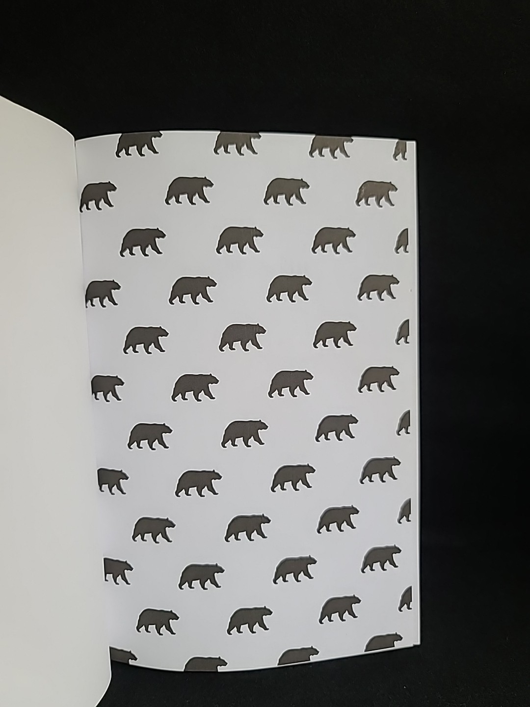 Anatomy of the Bear: Lessons from Wall Street&rsquo;s Four Great Bottoms