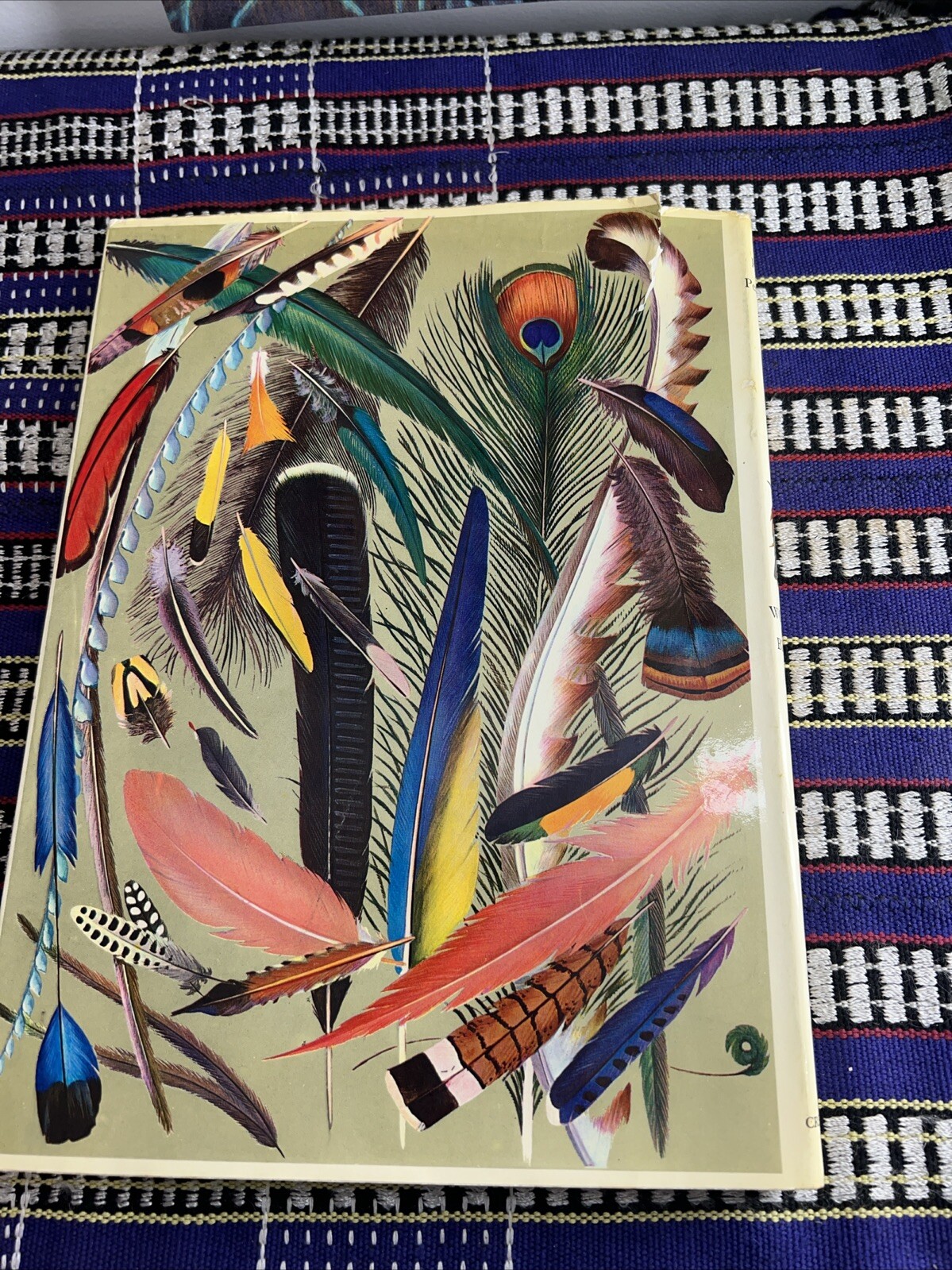 World of Birds,JAMES FISHER AND ROGER TORY PETERSON – New and Revised Edition233