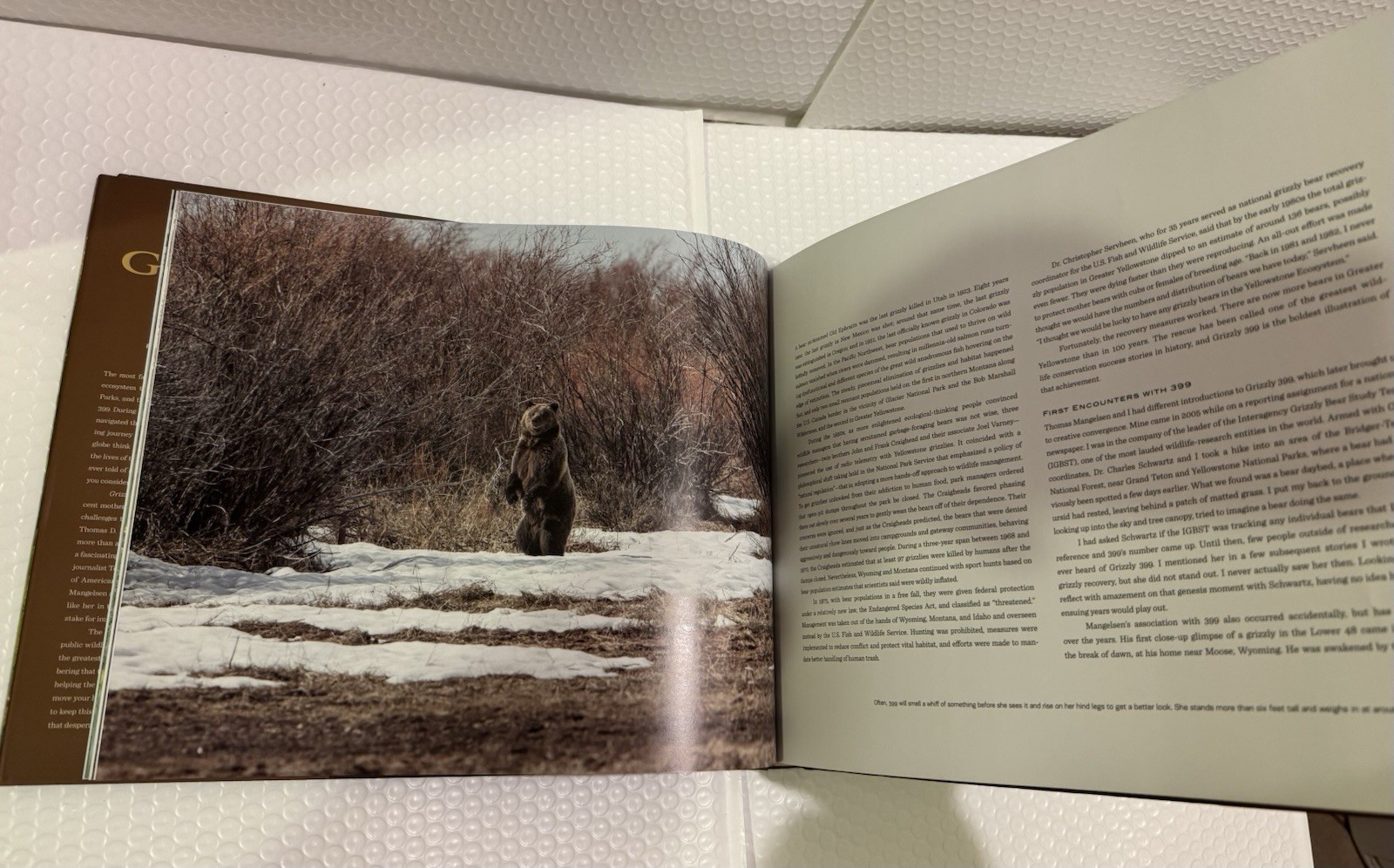 Grizzly 399: World&rsquo;s Most Famous Mother Bear, The by Thomas D. Mangelsen HC .