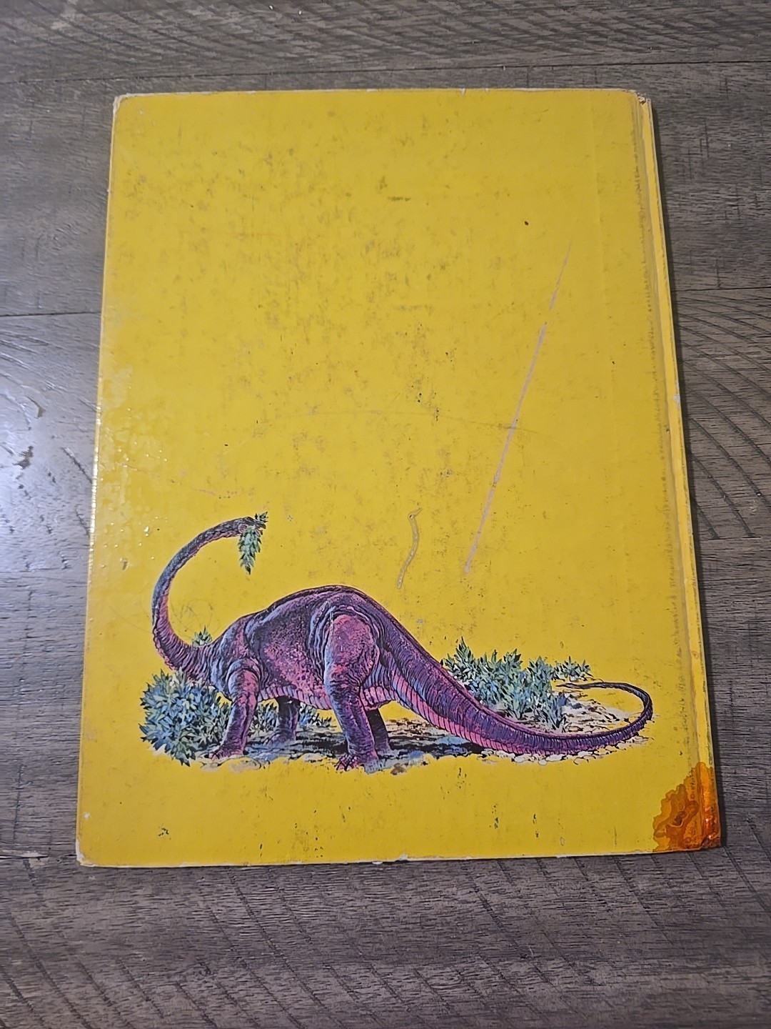 Dinosaurs Giants of the Past by Eileen Daly 1st Ed. 3rd Pr. Golden Press HC 1975