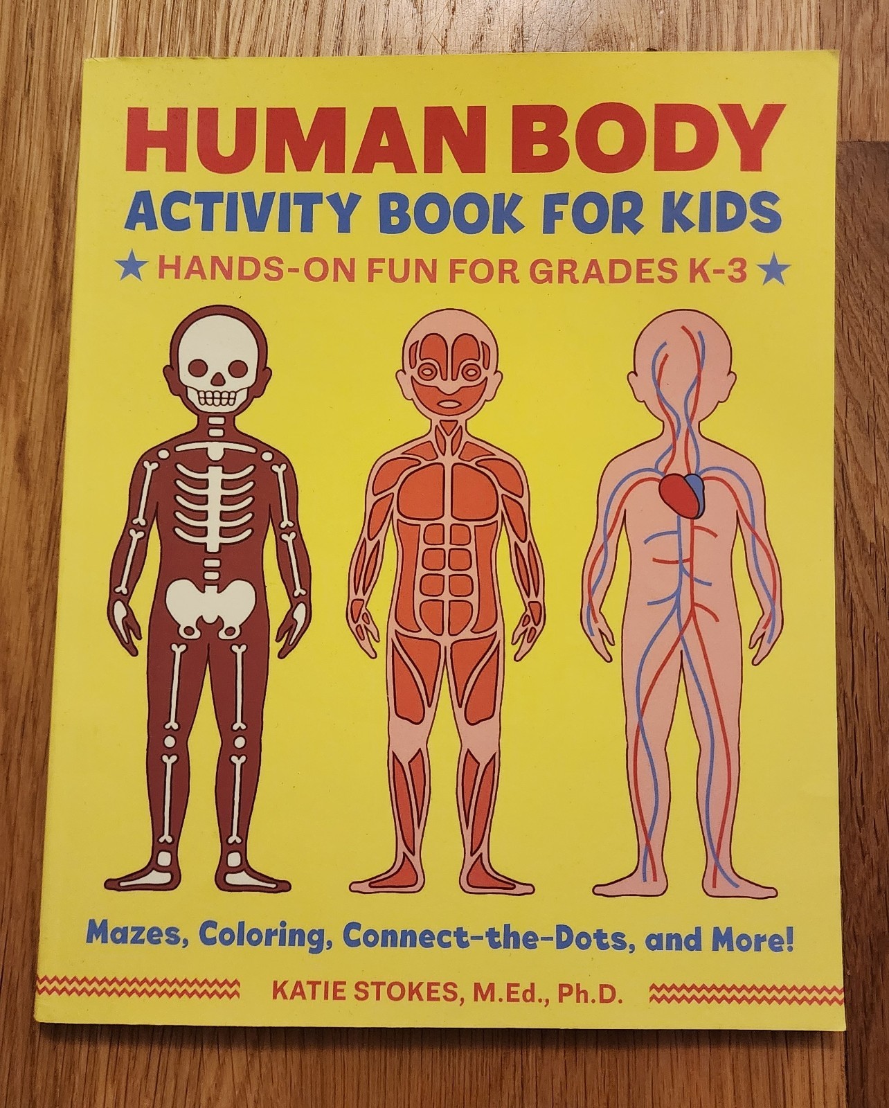Human Body Activity Book for Kids: Hands-On Fun for Grades K-3 by Ph.D., Katie