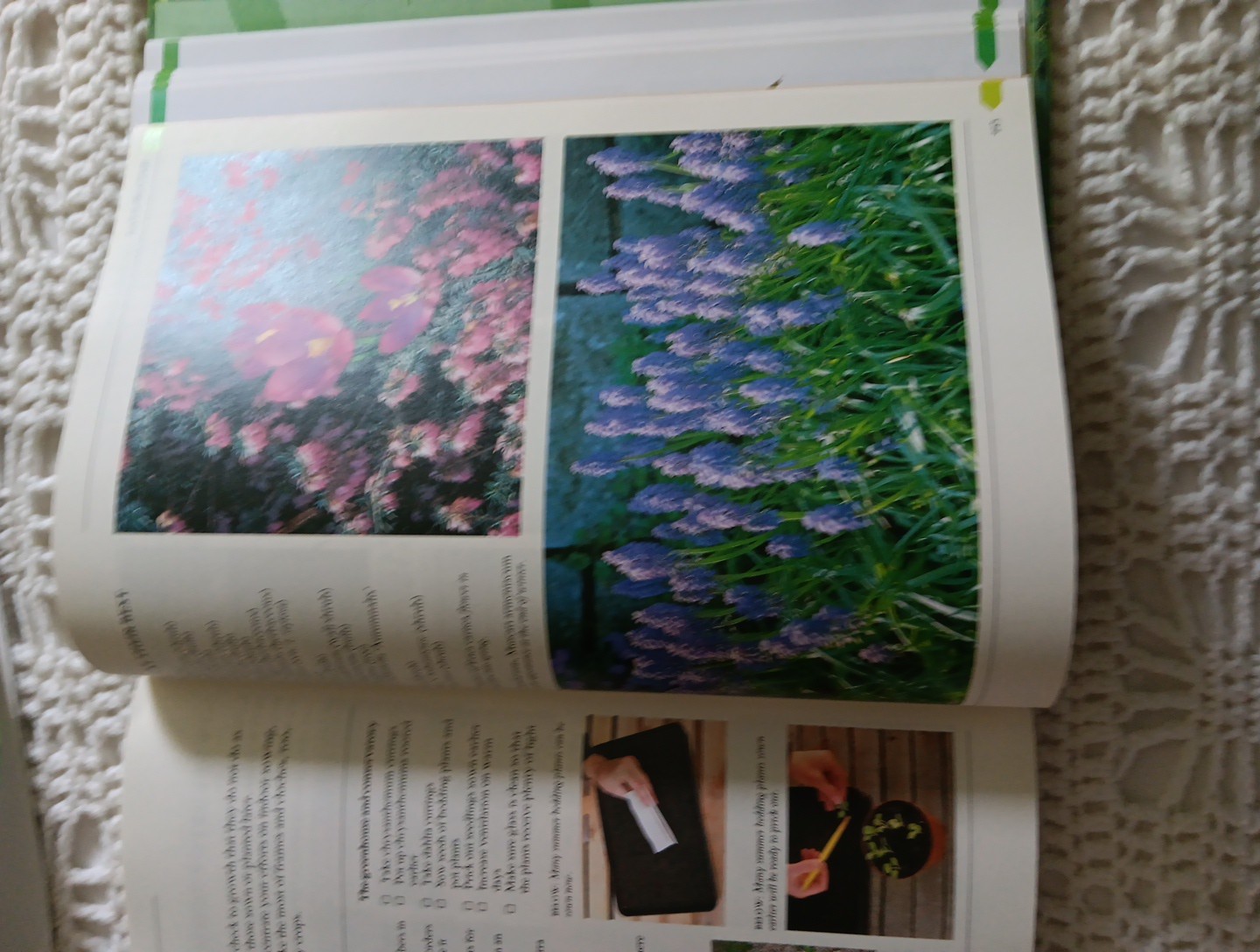 THE COMPLETE BOOK OF PRACTICAL GARDENING Peter McHoy 2001 512 Pages 12×9&Prime; HC DJ