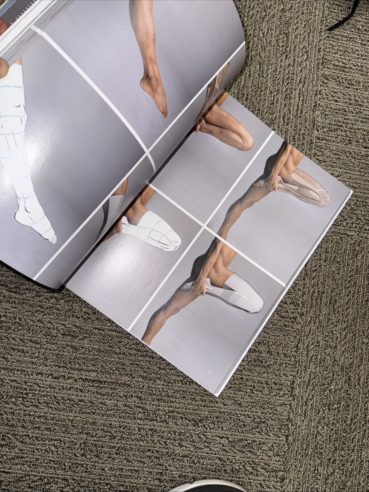 ANATOMY FOR ARTISTS: A VISUAL GUIDE TO THE HUMAN FORM By 3dtotal Publishing NEW