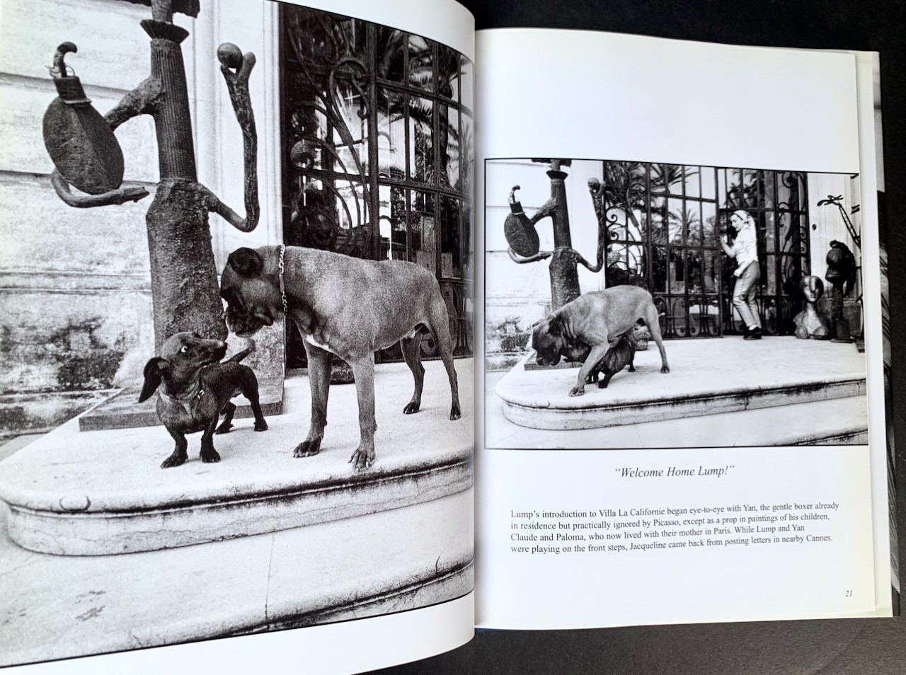 PICASSO & LUMP: A Dachshund&rsquo;s Odyssey – David Douglas Duncan – HC/First Edition
