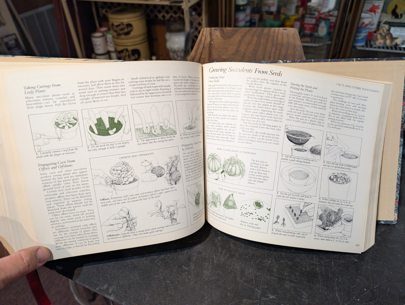 Original 1978 Reader&rsquo;s Digest Illustrated Guide To Gardening 672 Pages
