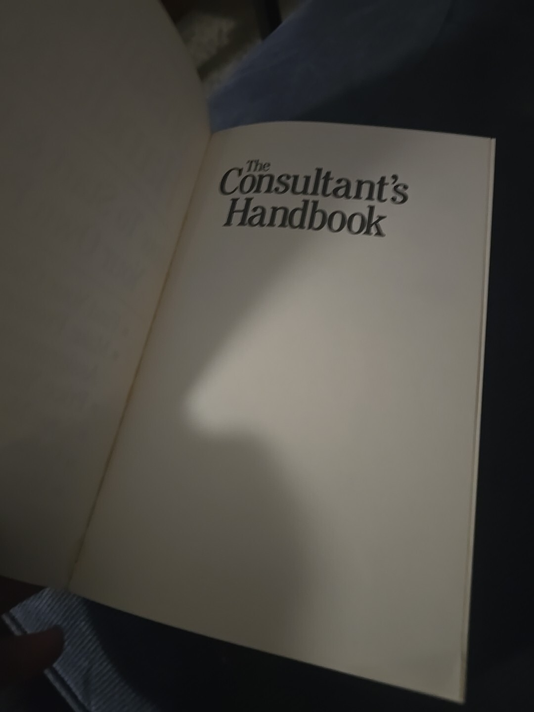 Consultant&rsquo;s Handbook : How to Start and Develop Your Own Practice