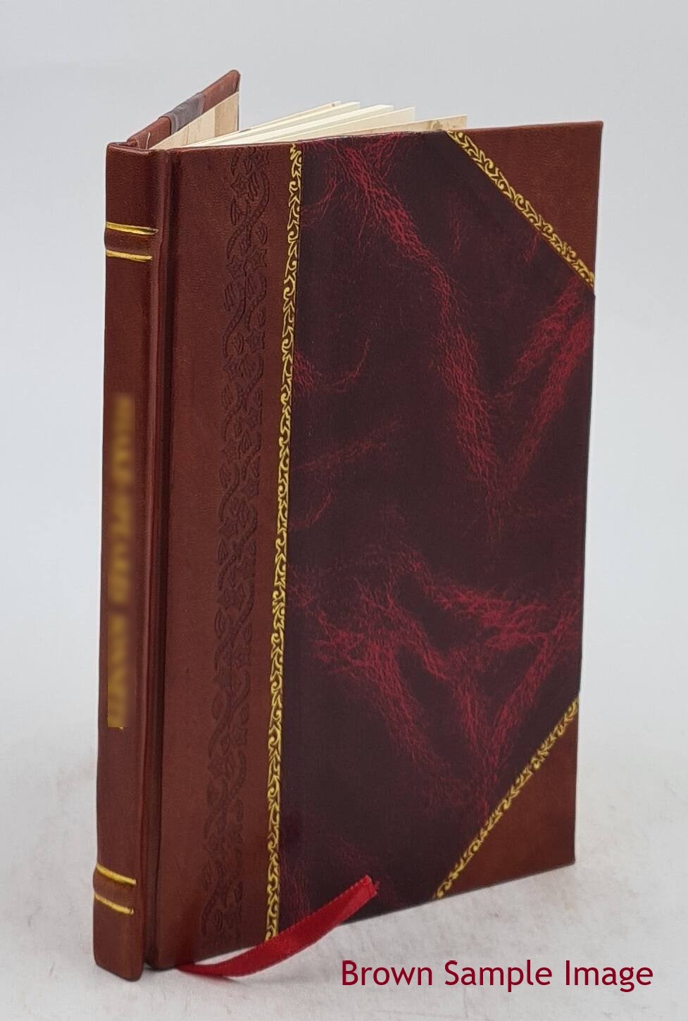 The Embroiderer&rsquo;S Book Of Design : Containing Initials, Emblems, [Leather Bound]