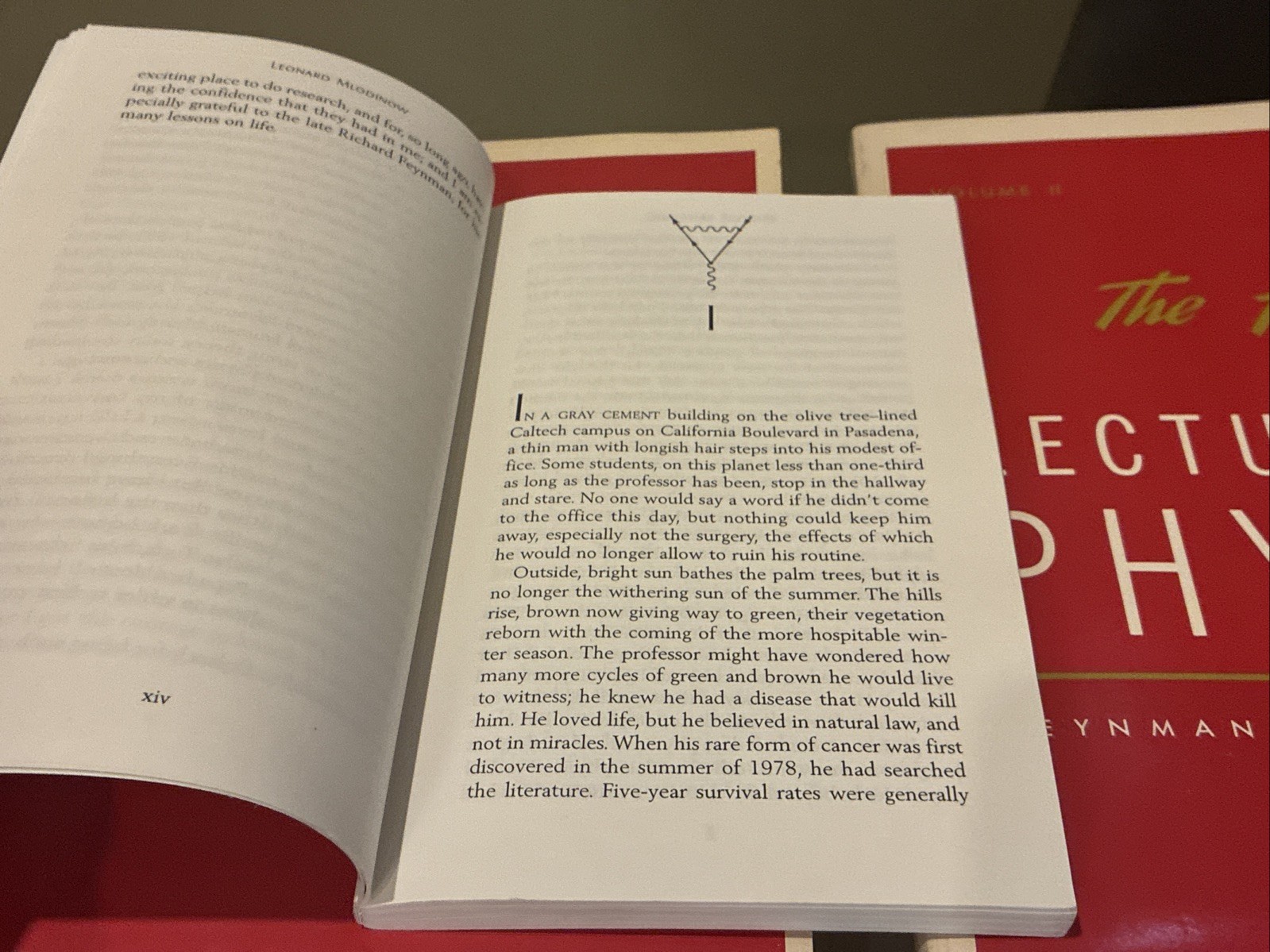 The Feynman Lectures On Physics SET Volumes 1 & 2 PLUS Feynman’s Rainbow *NICE*
