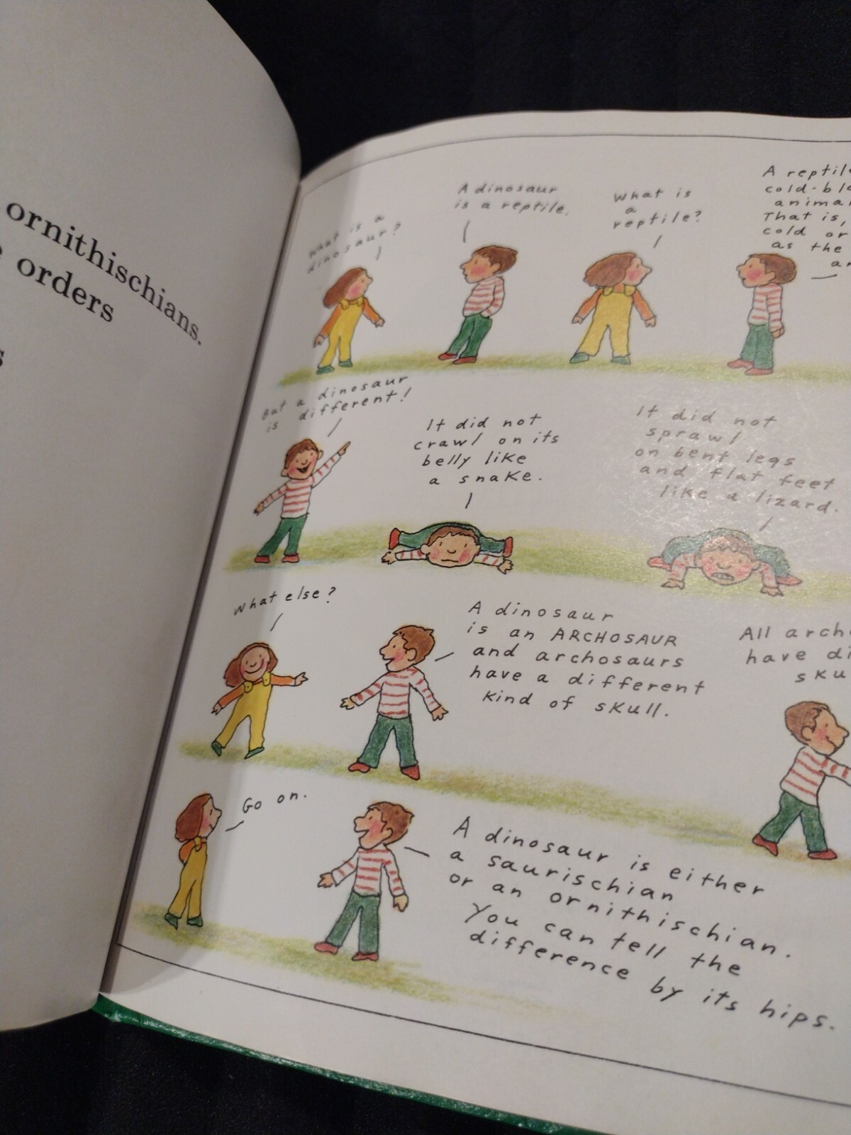 Let&rsquo;s-Read-and-Find-Out-Science Ser.: Dinosaurs Are Different by Aliki (1985,…