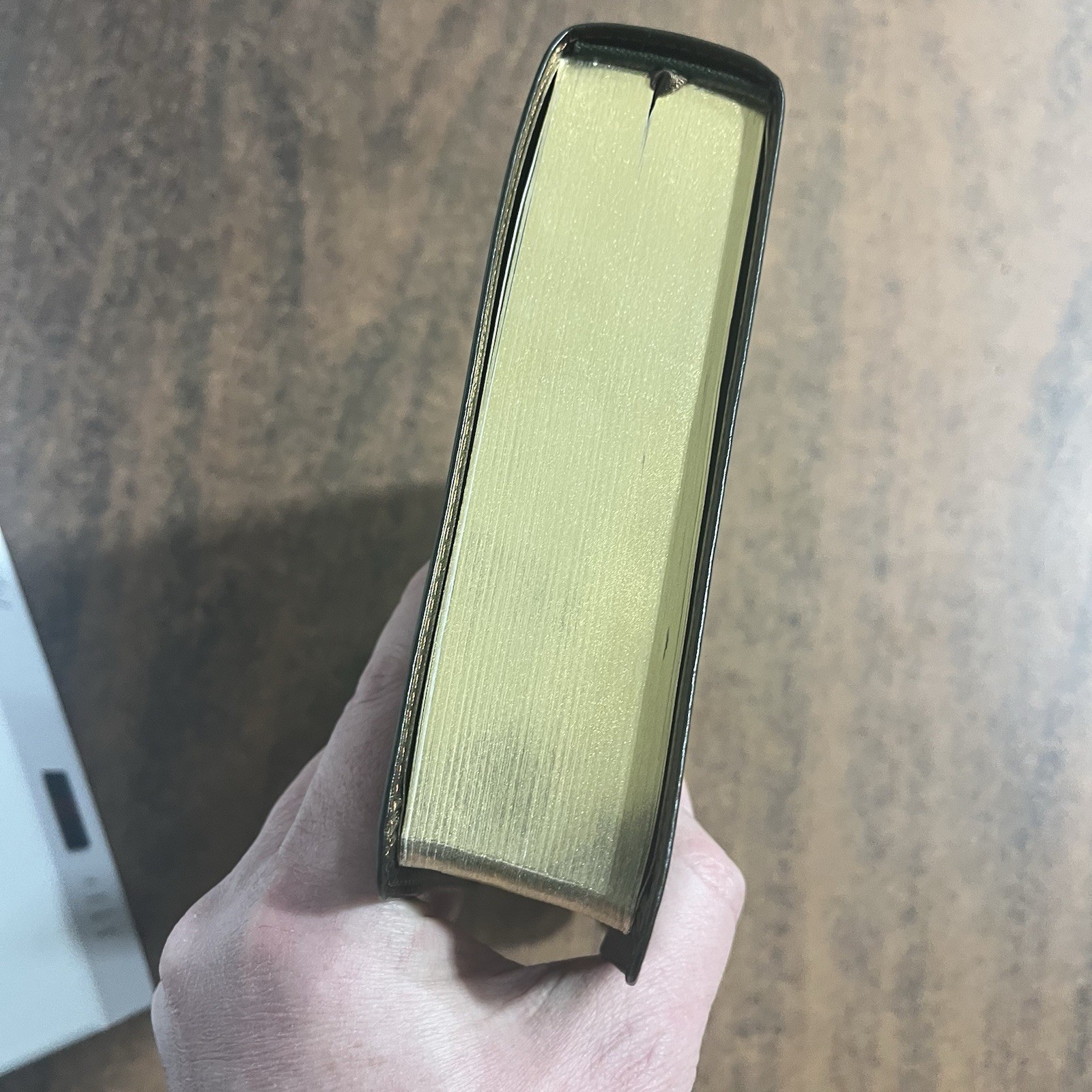 ESV Giant Print Personal Size Bible Thumb Indexed – Forest / Tan Trail TruTone