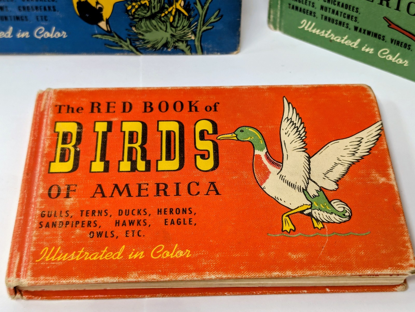 Vintage 1940s Birds of America Blue Green Red Book Set MCM Illustrated HB Set 3