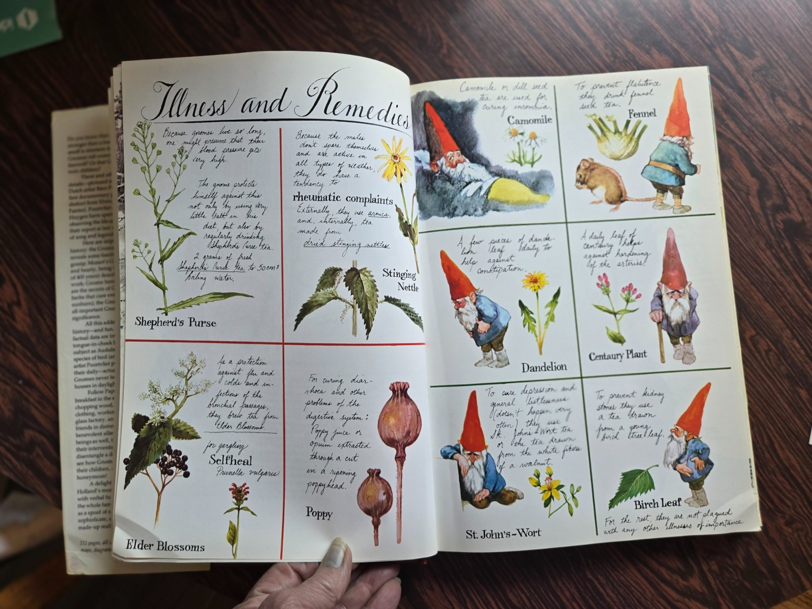 Gnomes by Wil Huygen & Rien Poortvliet 1977 Hardcover Illustrated Dust Jacket