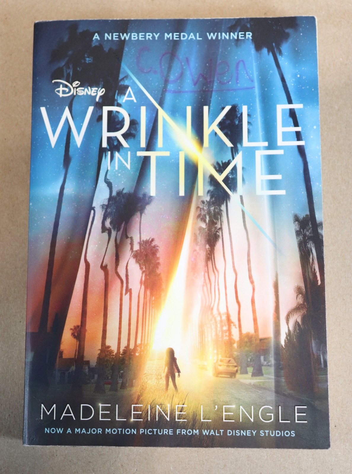 Lot of 11 A Wrinkle In Time by Madeleine L&rsquo;Engle GUIDED READING Teachers Set