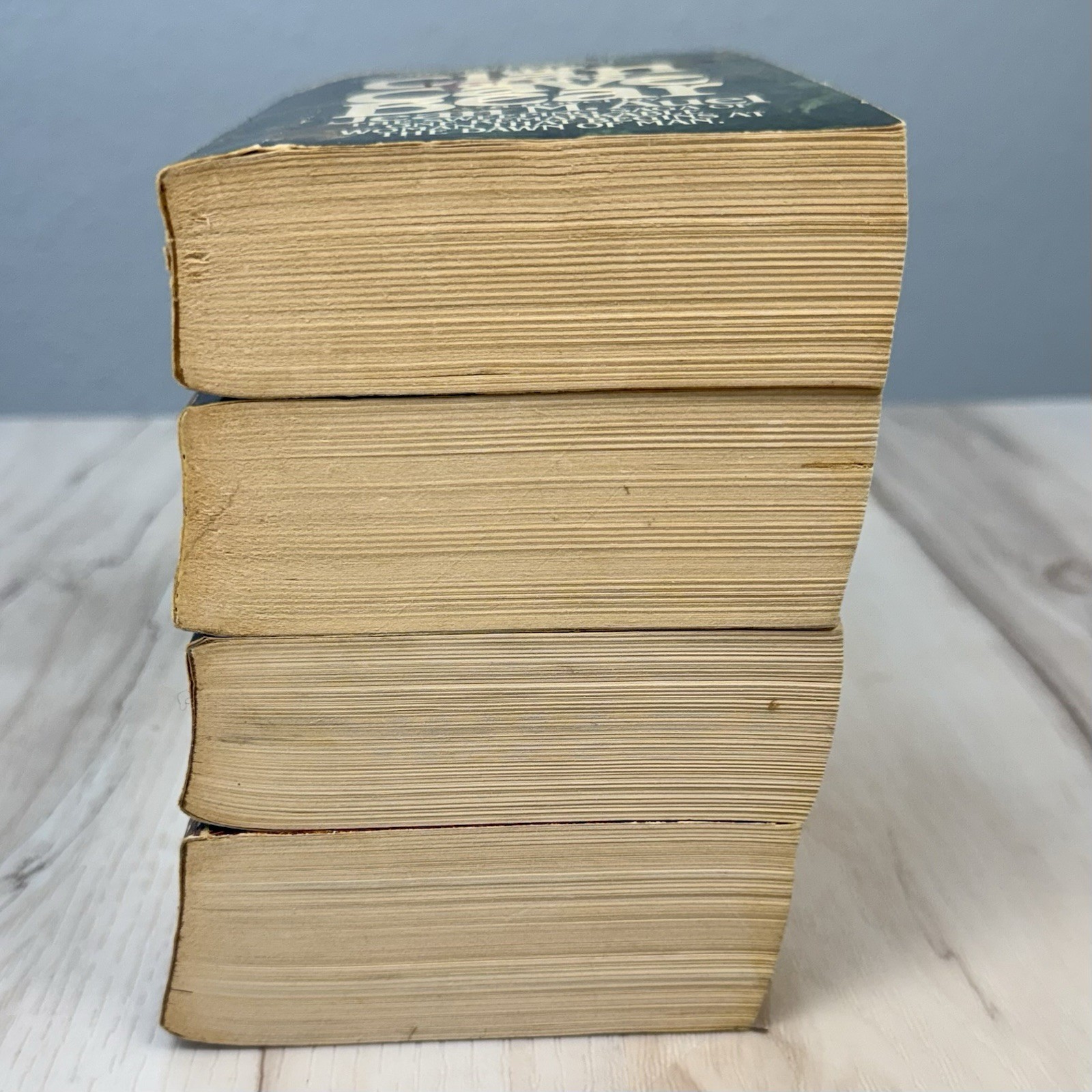 VTG 80s Lot 4 Earth&rsquo;s Children Series Paperback Books by Jean M Auel Bantam