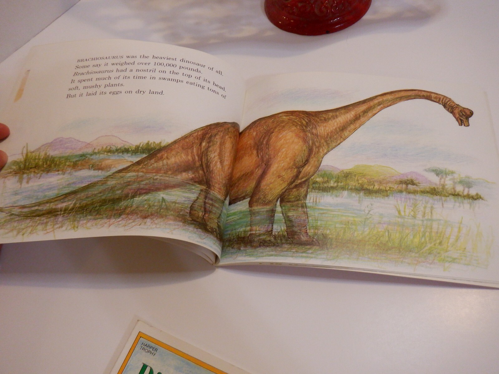 Vintage 1985 My Visit to the Dinosaurs & Dinosaurs are Different Book By Aliki