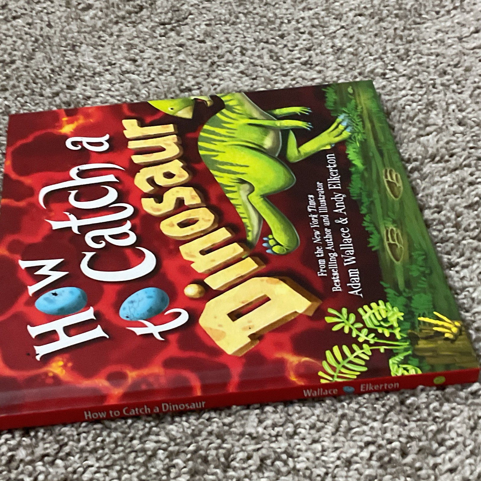 Adam Wallace How to Catch a Dinosaur Hardcover Illustrated Picture Book Ages 4-8