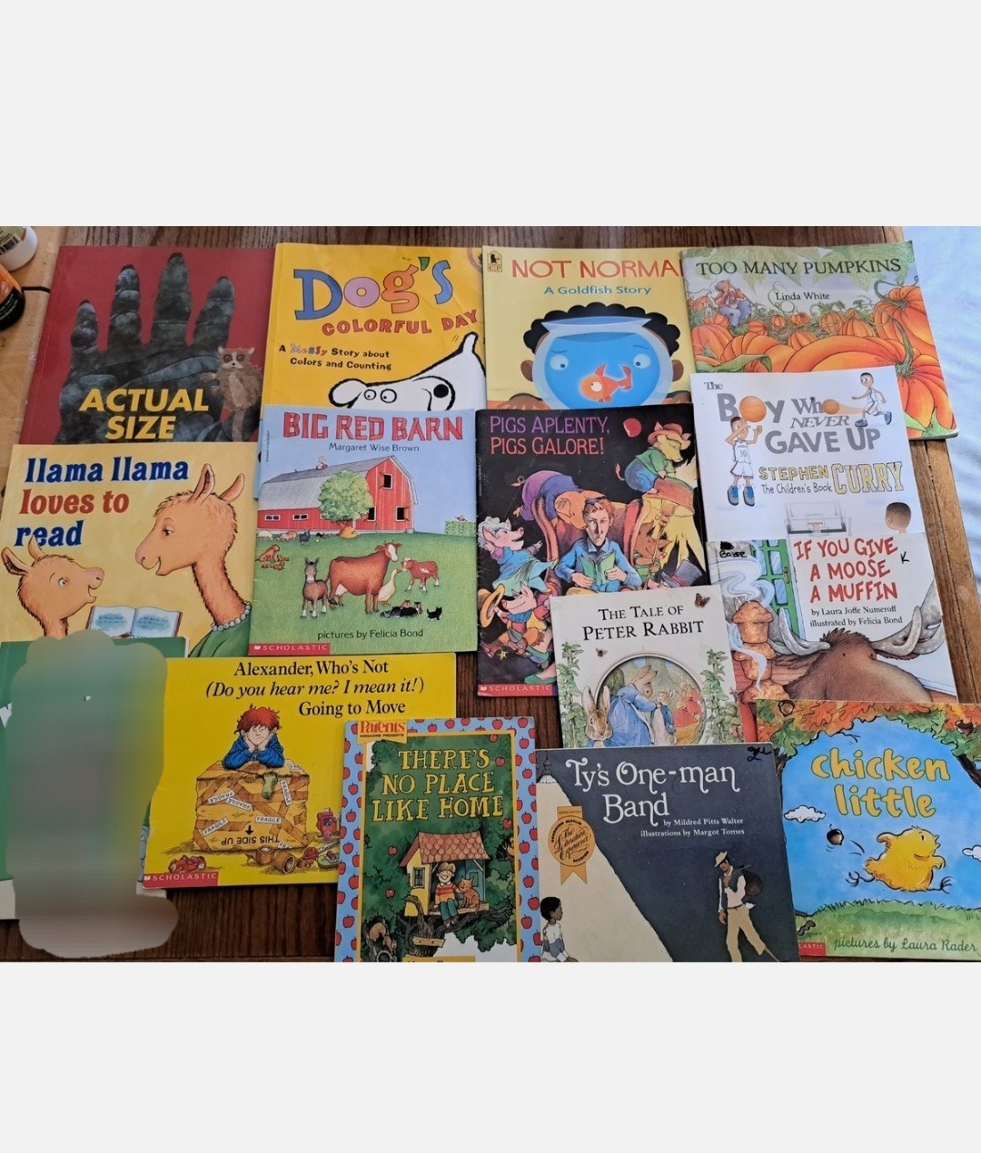 Lot of 14 Children&rsquo;s Scholastic picture Books Kids Storybook preschool storytime