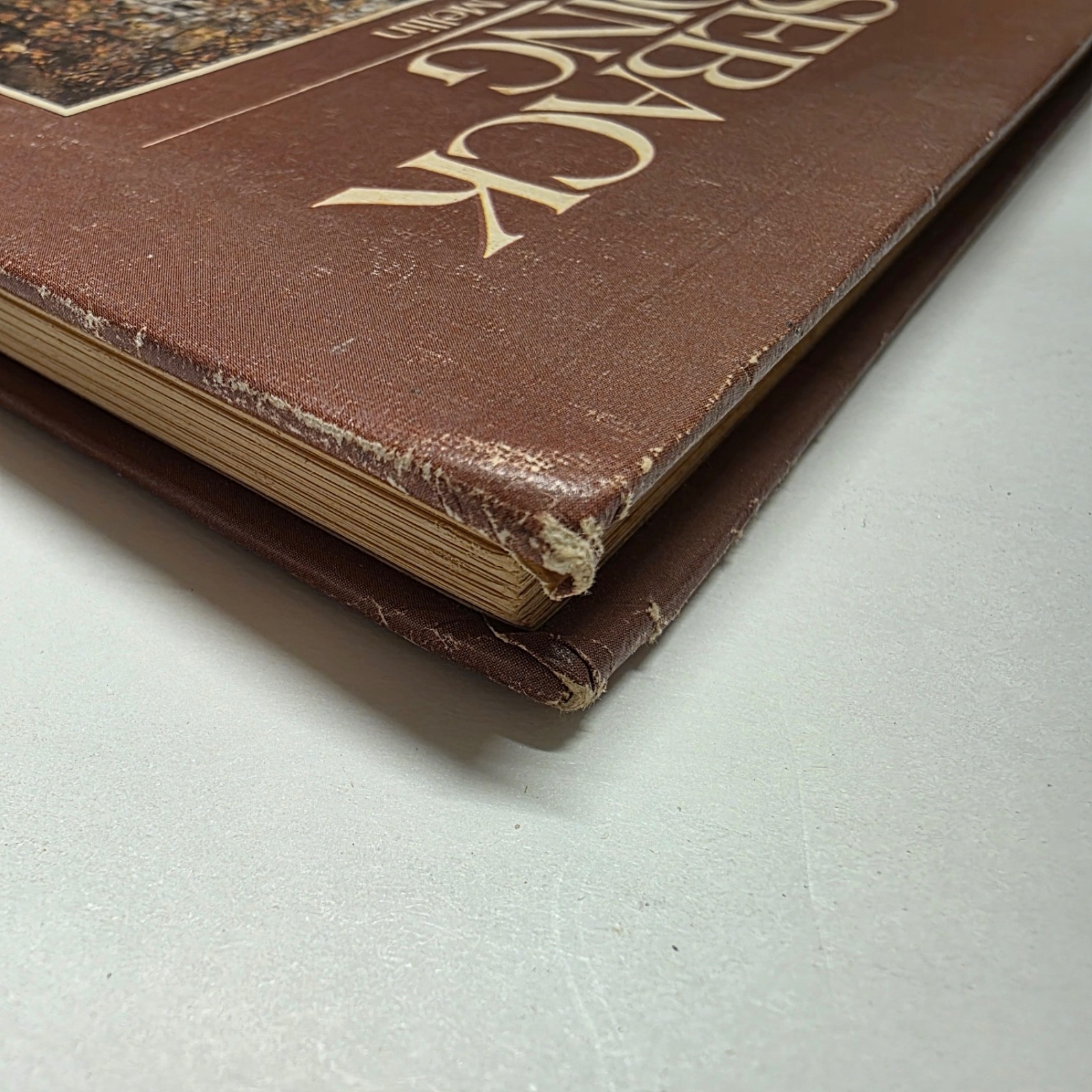 Vintage Horseback Riding Book by Jeanne Mellin 1970 HC Brown 9.25×7.25 Complete