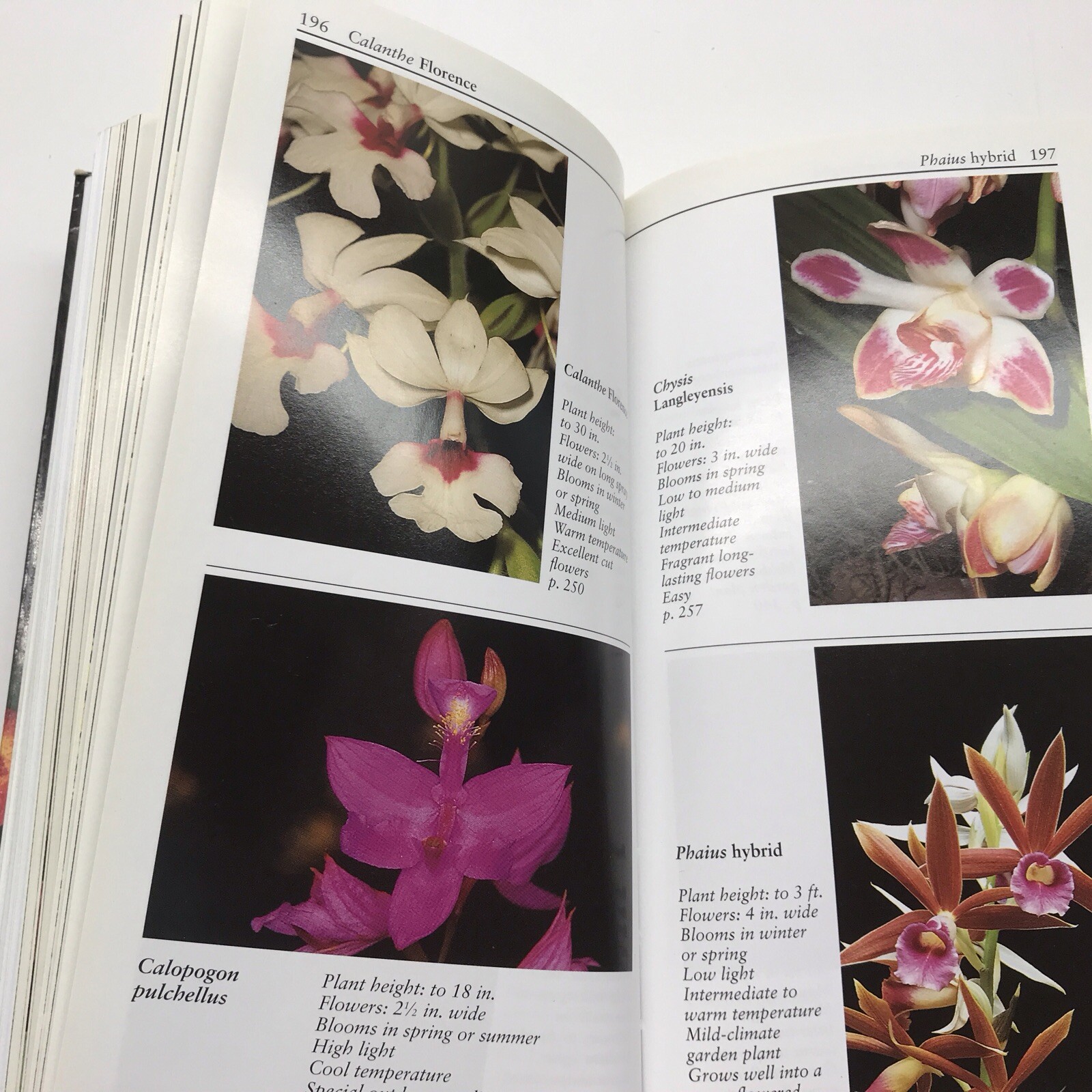 Taylor&rsquo;s Guide to Orchids~1996~Judy White~Ex Library