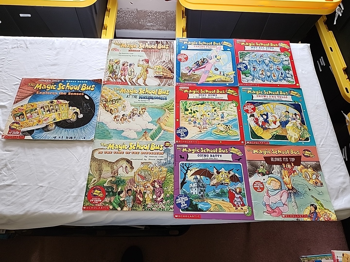 Magic School Bus book lot of 10 paperback vintage Scholastic Joanna Cole science