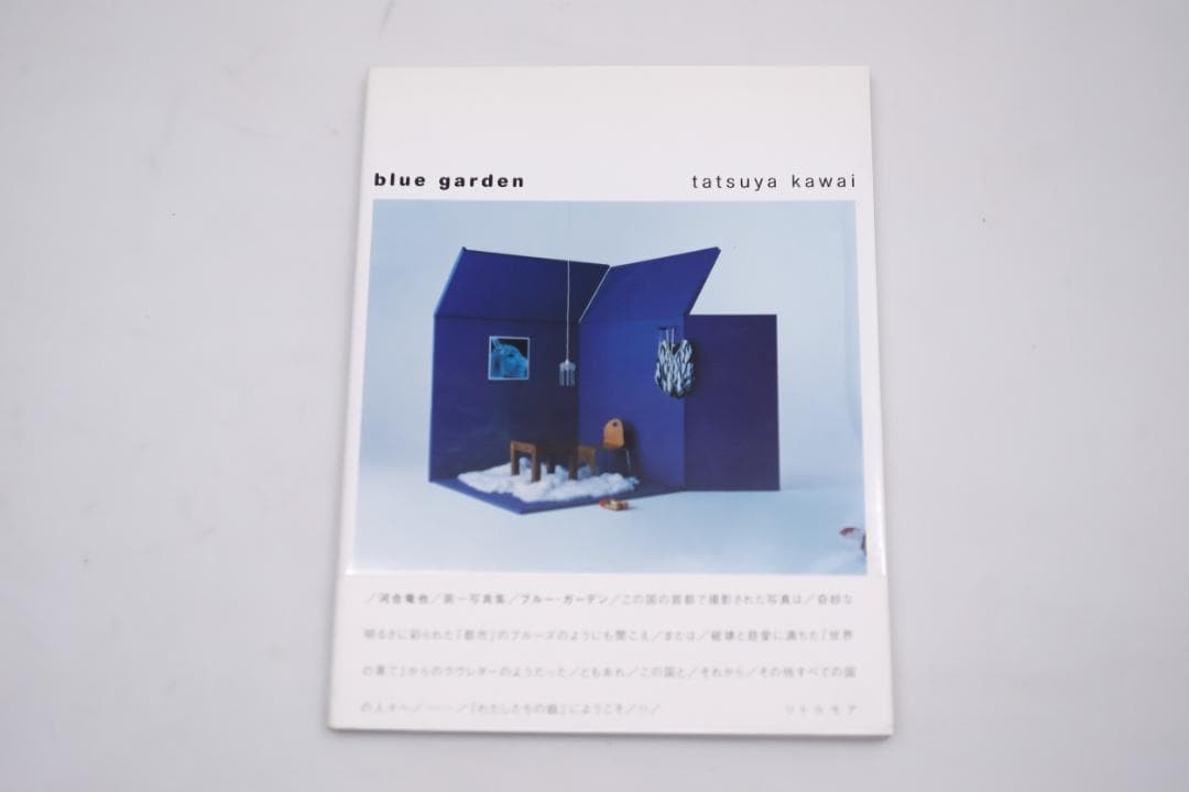 Tatsuya Kawai Photobook Blue Garden 24cm PaperBack Japanese Literature