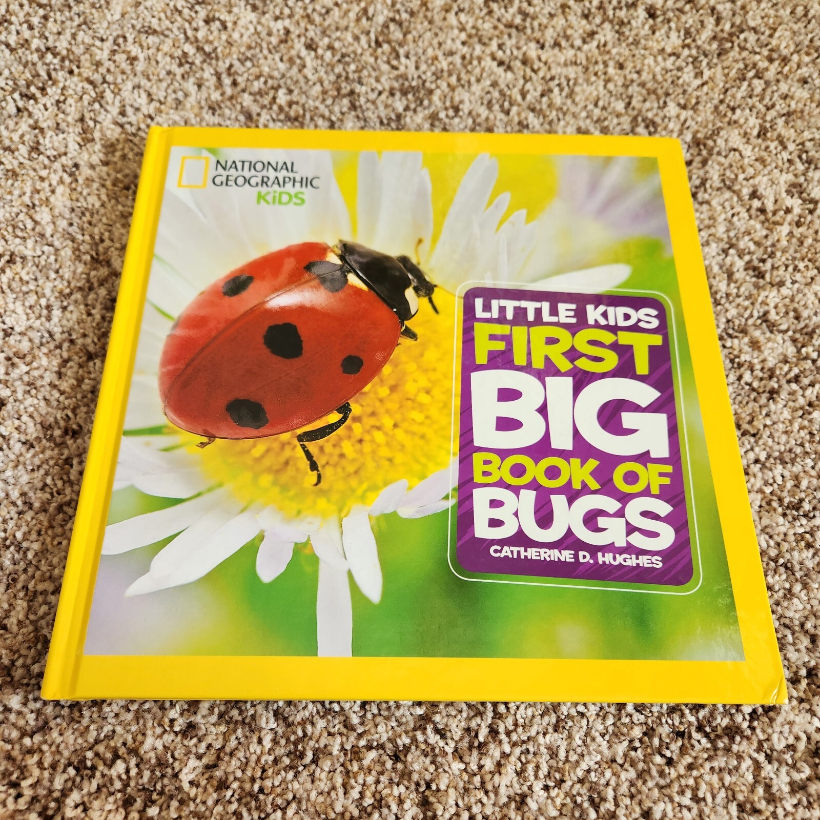Little Kids First Big Book of Bugs by Catherine D. Hughes