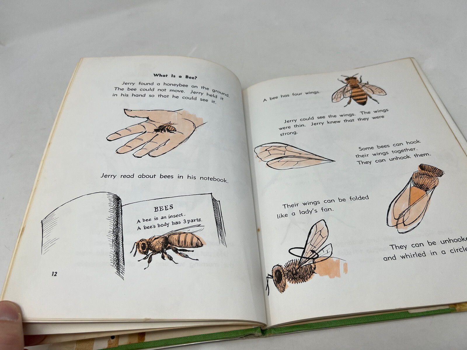 JERRY FINDS BEES Darby, Gene Published by Steck-Vaughn Co., Austin, TX, 1967