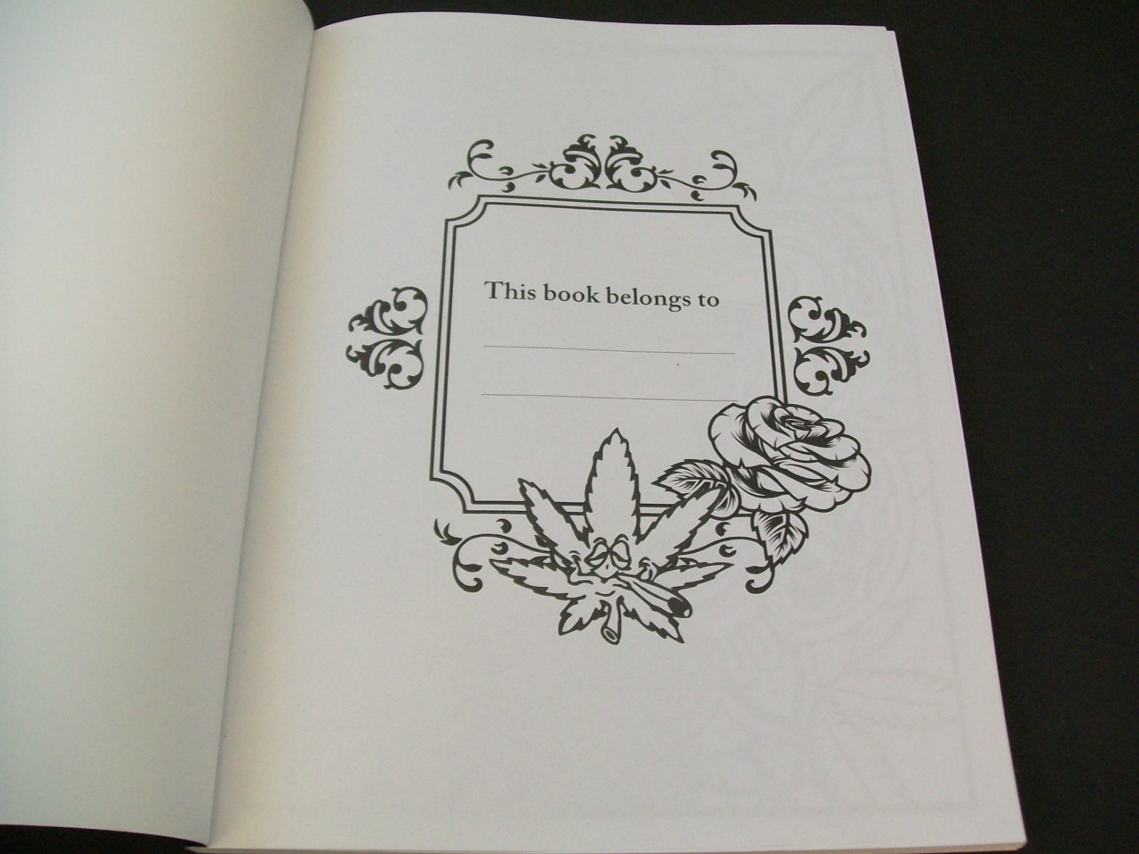 90&rsquo;s Cartoon Stoner ADULT Coloring Book Paperback Made in USA 2023