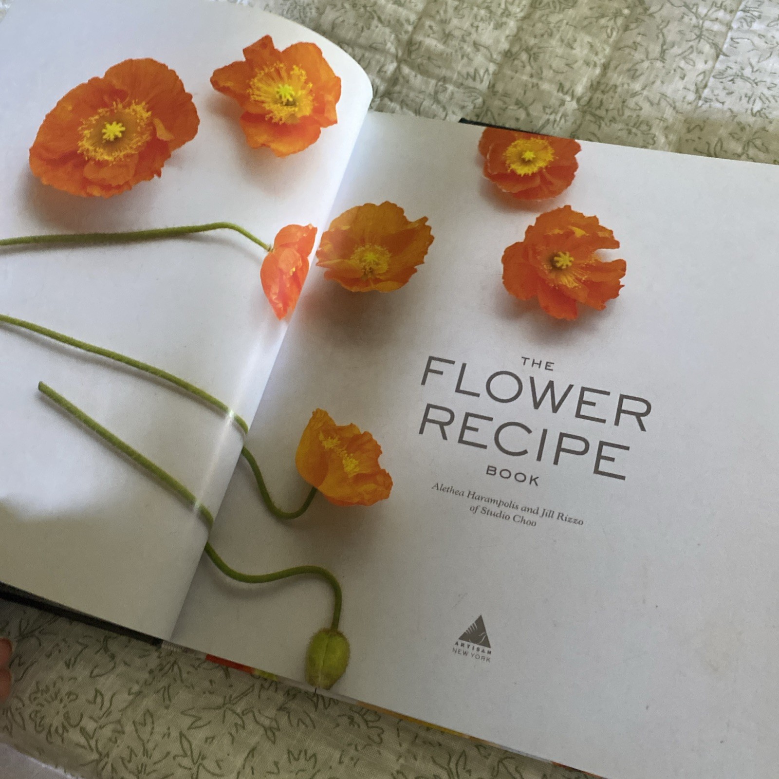 Set/2 The Flower Recipe Book The Plant Recipe 100 Floral Seasonal Arrangements