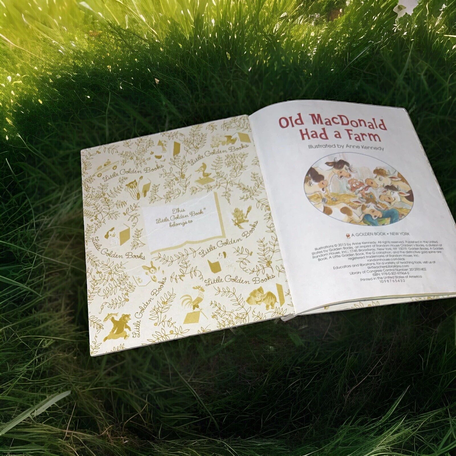 Old MacDonald Had a Farm Children’s Book – A Little Golden Book
