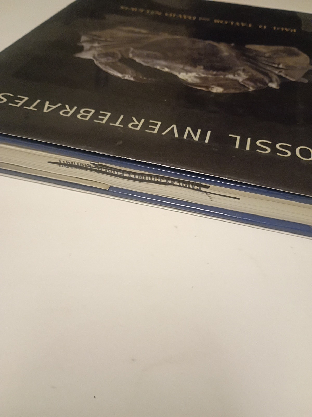 Fossil Invertebrates HC DJ Taylor, Paul D. and Lewis, David N. Harvard Universit