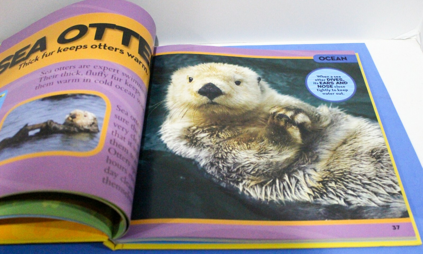 National Geographic Little Kids First Big Book of Animals by Catherine Hughes