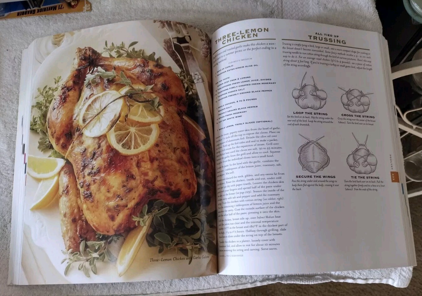 WEBER&rsquo;S BIG BOOK OF GRILLING JAMIE PURVIANCEAND SANDRA MCRAE 416 PAGES