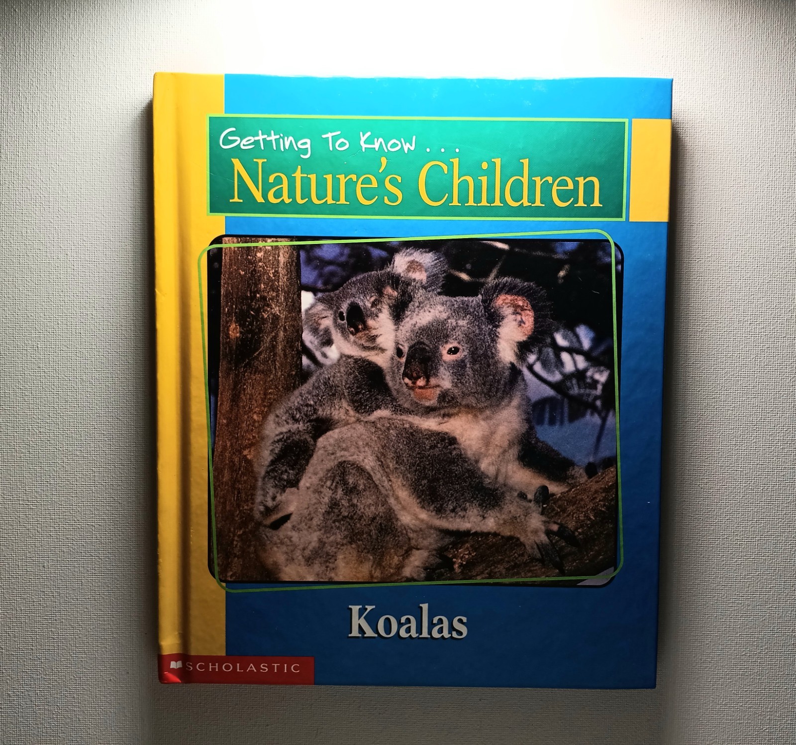 Scholastic Getting to know Nature&rsquo;s children Animal Books Lot of 6 (hard cover)