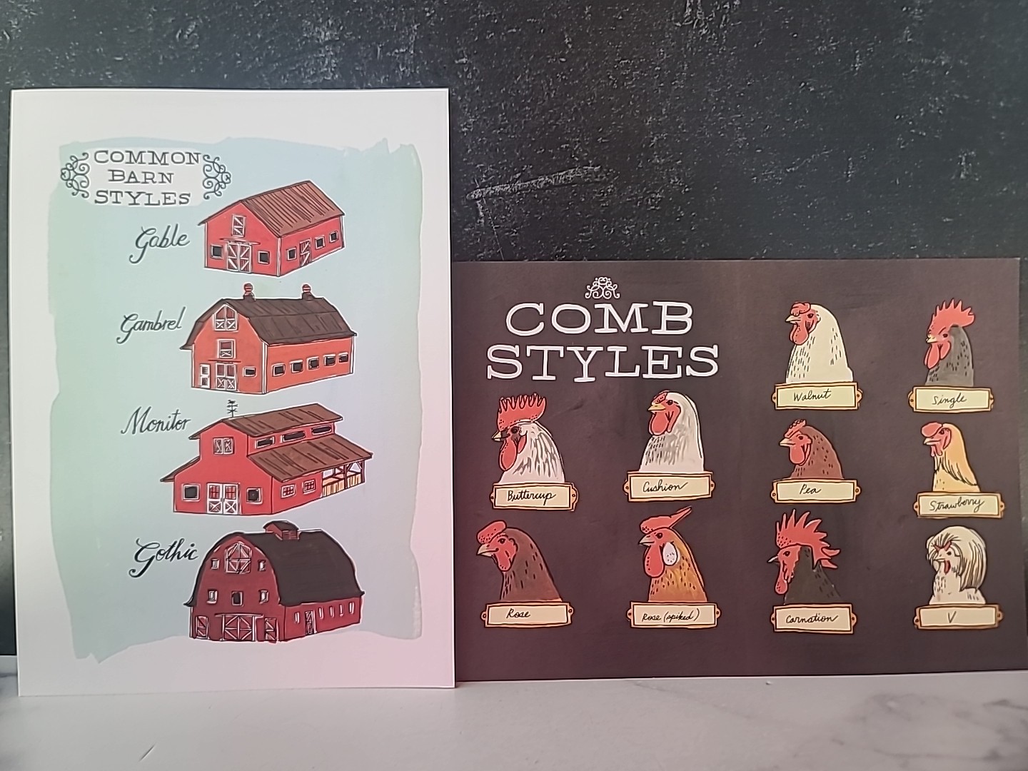 Julia Rothman Collection : Farm Anatomy, Nature Anatomy, and Food Anatomy by…