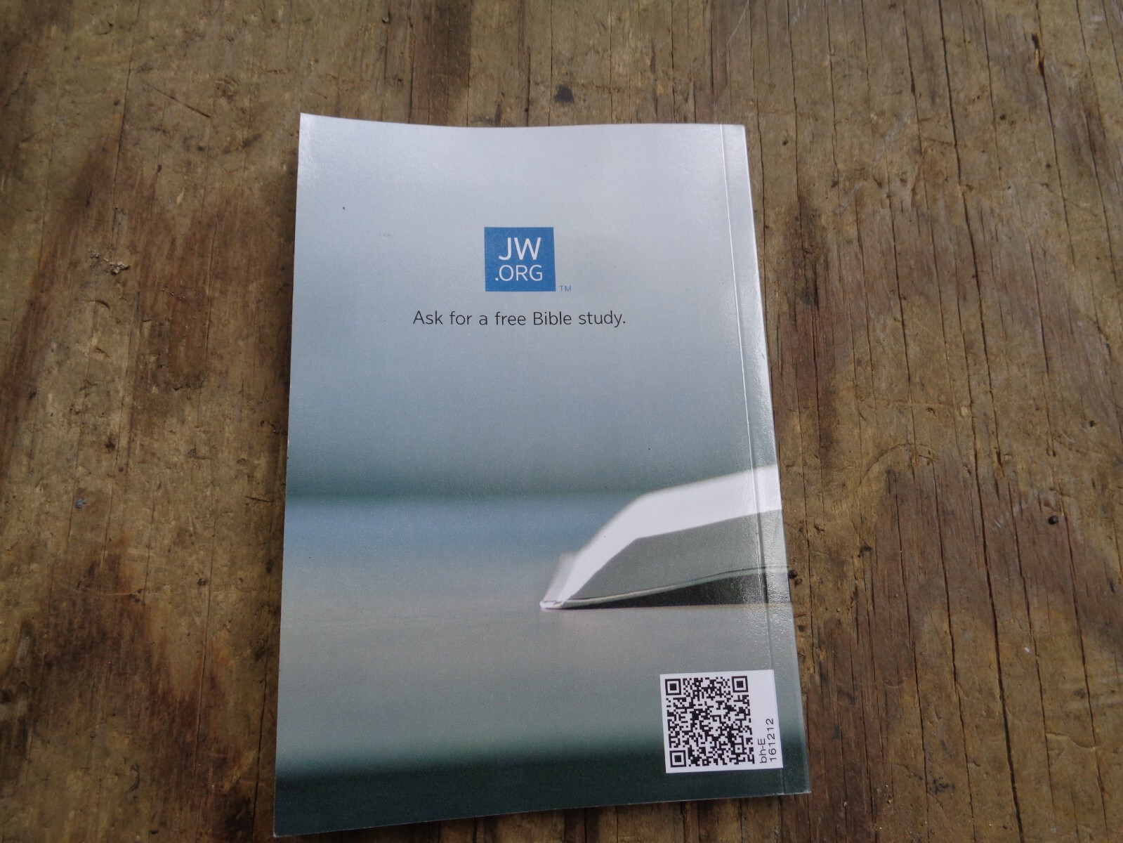 « WHAT DOES THE BIBLE REALLY TEACH? ». 2016. 223 pages. Paperback. Watchtower