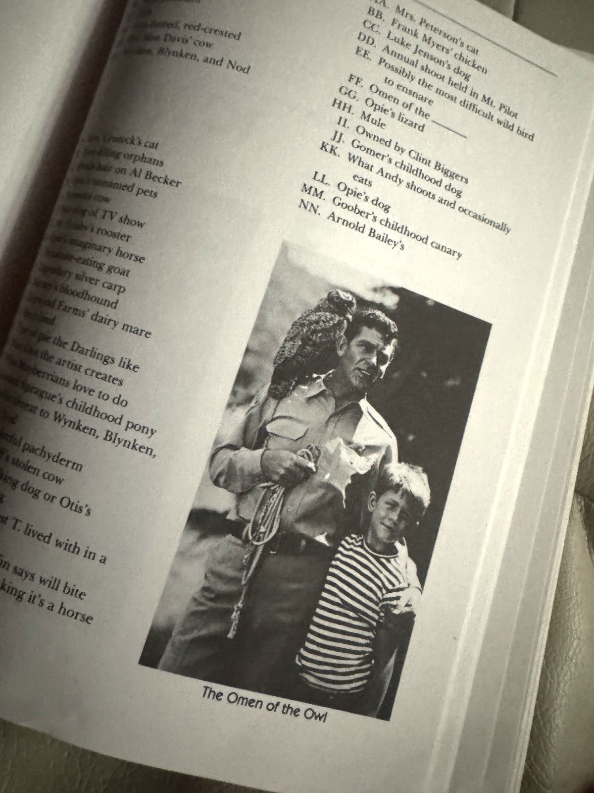 The Andy Griffith Show Complete Guide Book by Ken Beck & Jim Clark (1985)