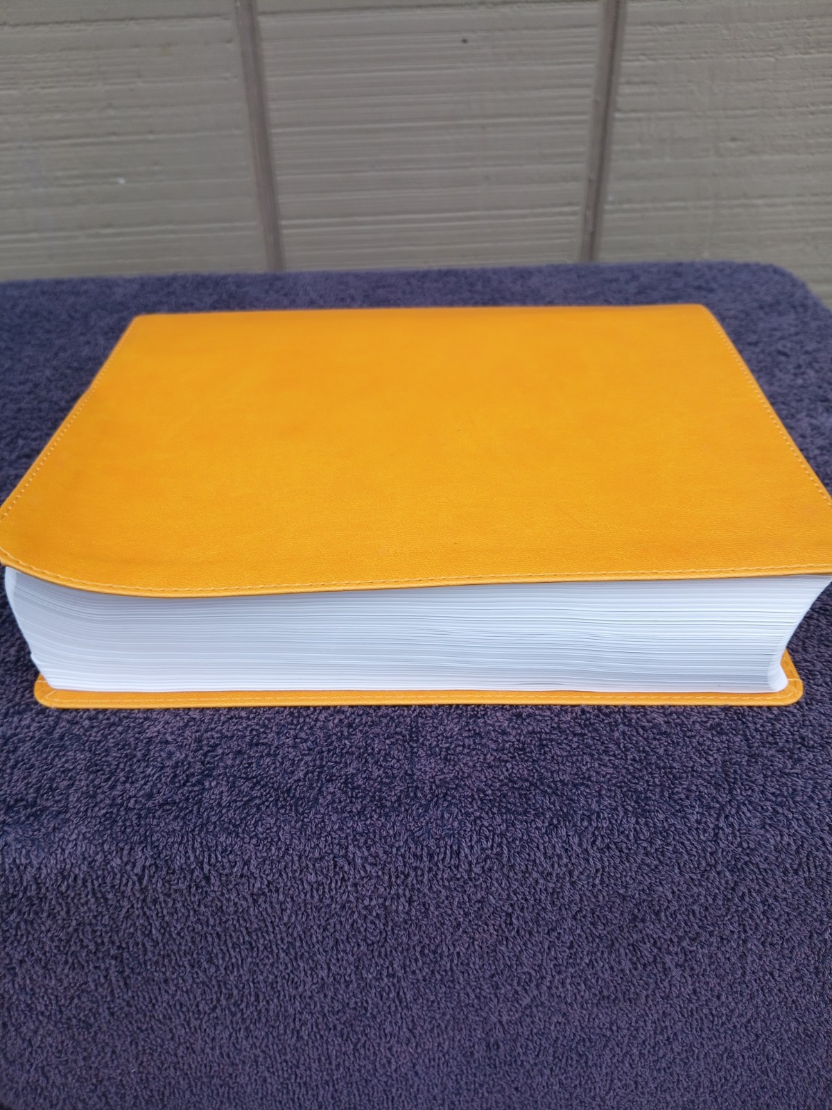 CBS Christian Standard Lifeway Women&rsquo;s Bible Marigold LeatherTouch READ DESCRIPT