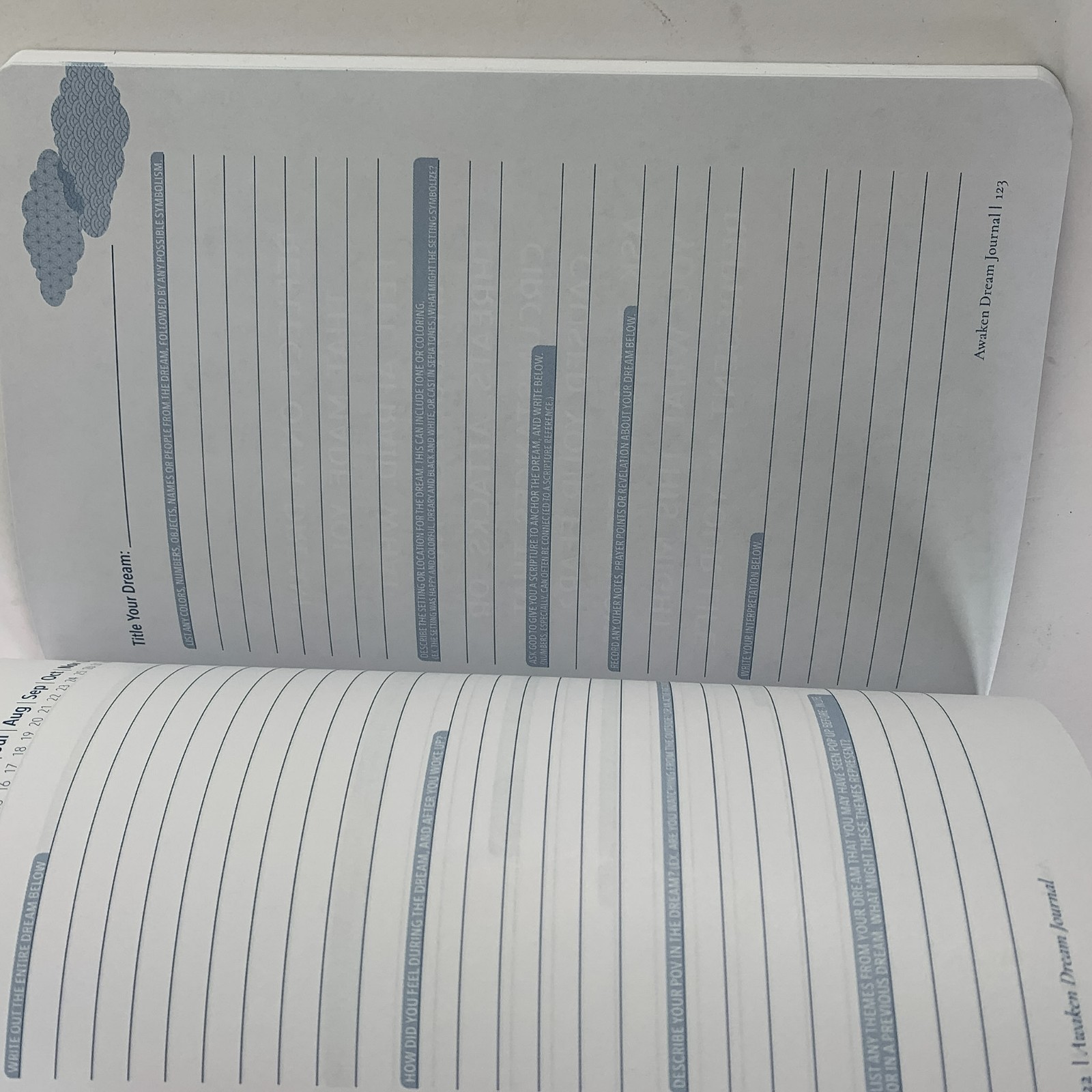 Awaken Dream Journal: Understanding God&rsquo;s Voice in Your Dreams by Paige Collins