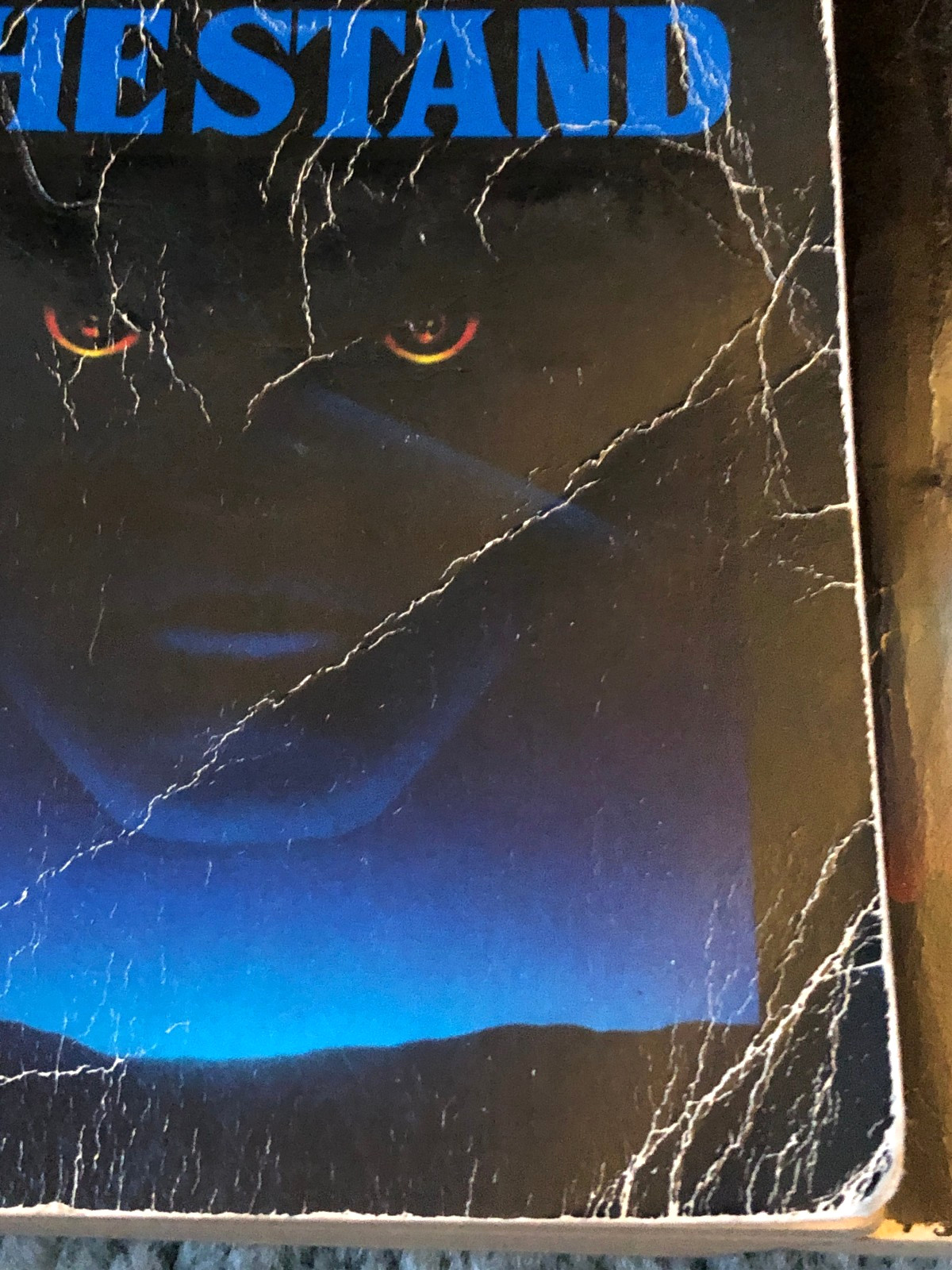 Stephen King books, Salem&rsquo;s Lot & The Stand, Signet paperbacks