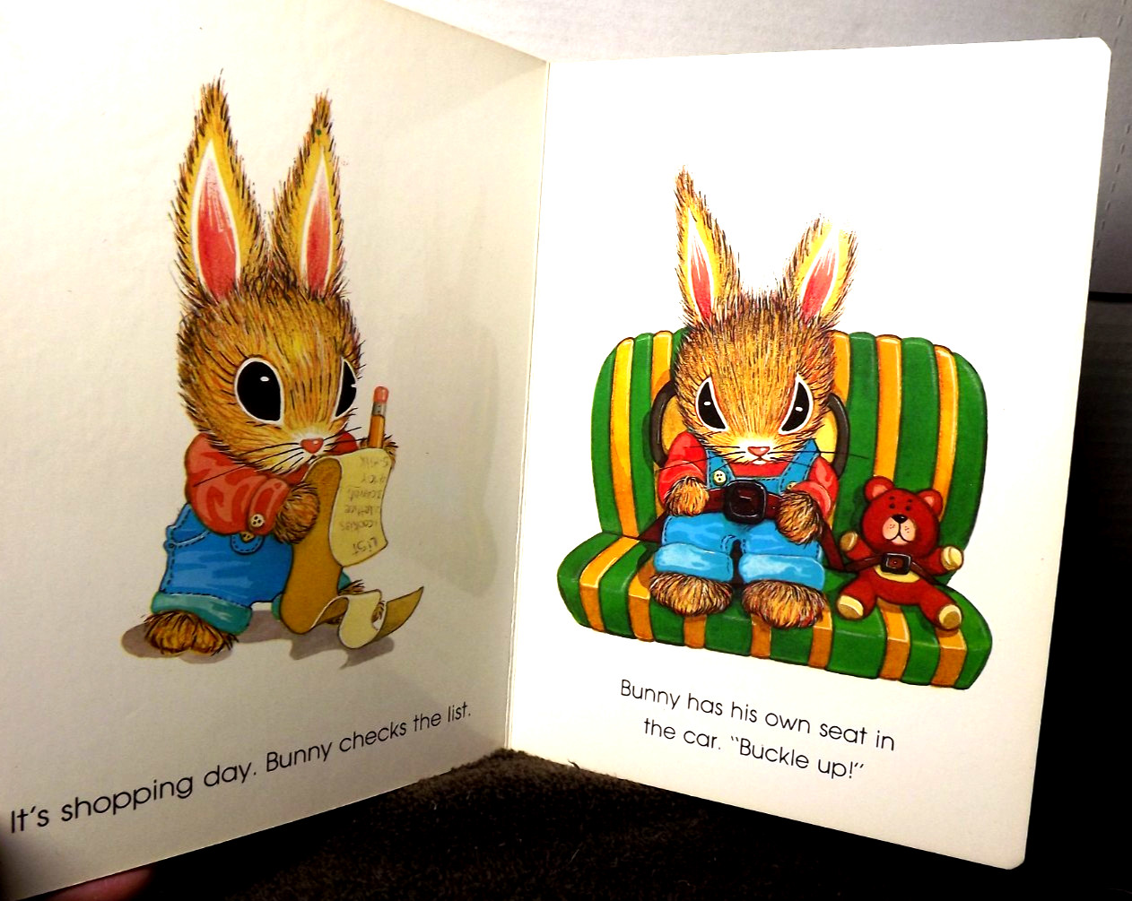Bunny Goes To Market – Children&rsquo;s Board Book – by Stephen Cosgrove & C. Rasoner