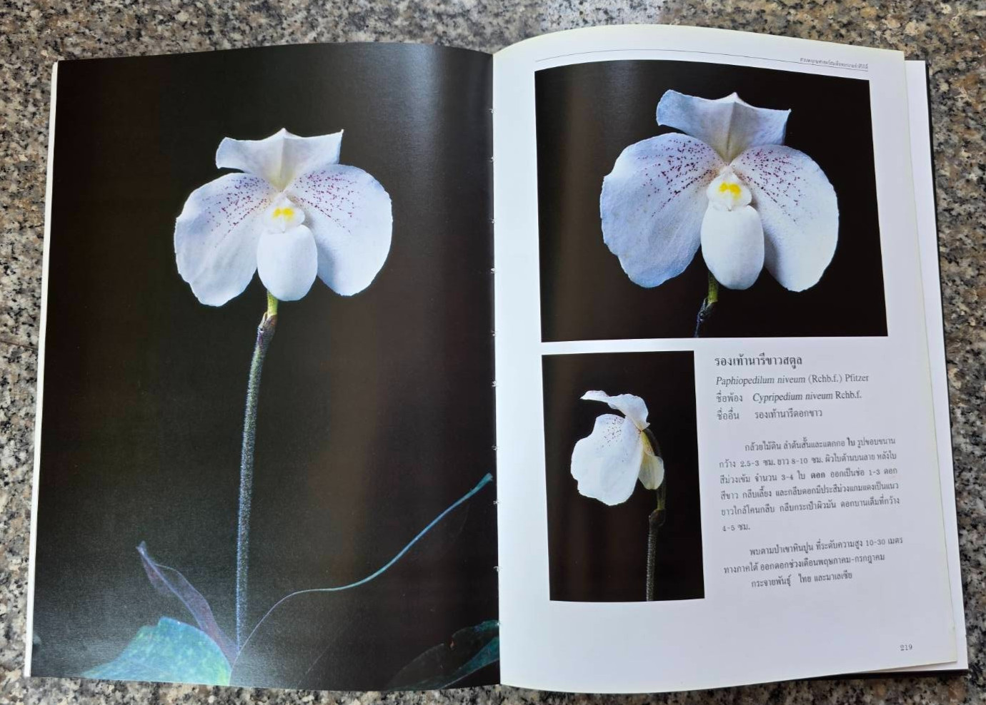Hardcover book featuring all  » Thai orchids.  » ( Hardcover)