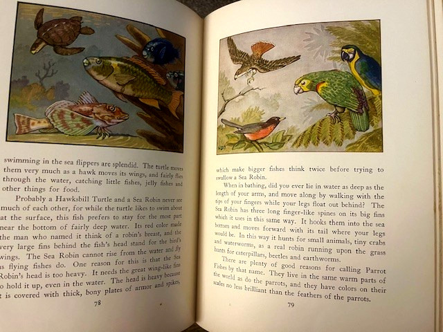 1935 WATER PEOPLE by Wilford Swancourt Bronson art deco full color children&rsquo;s