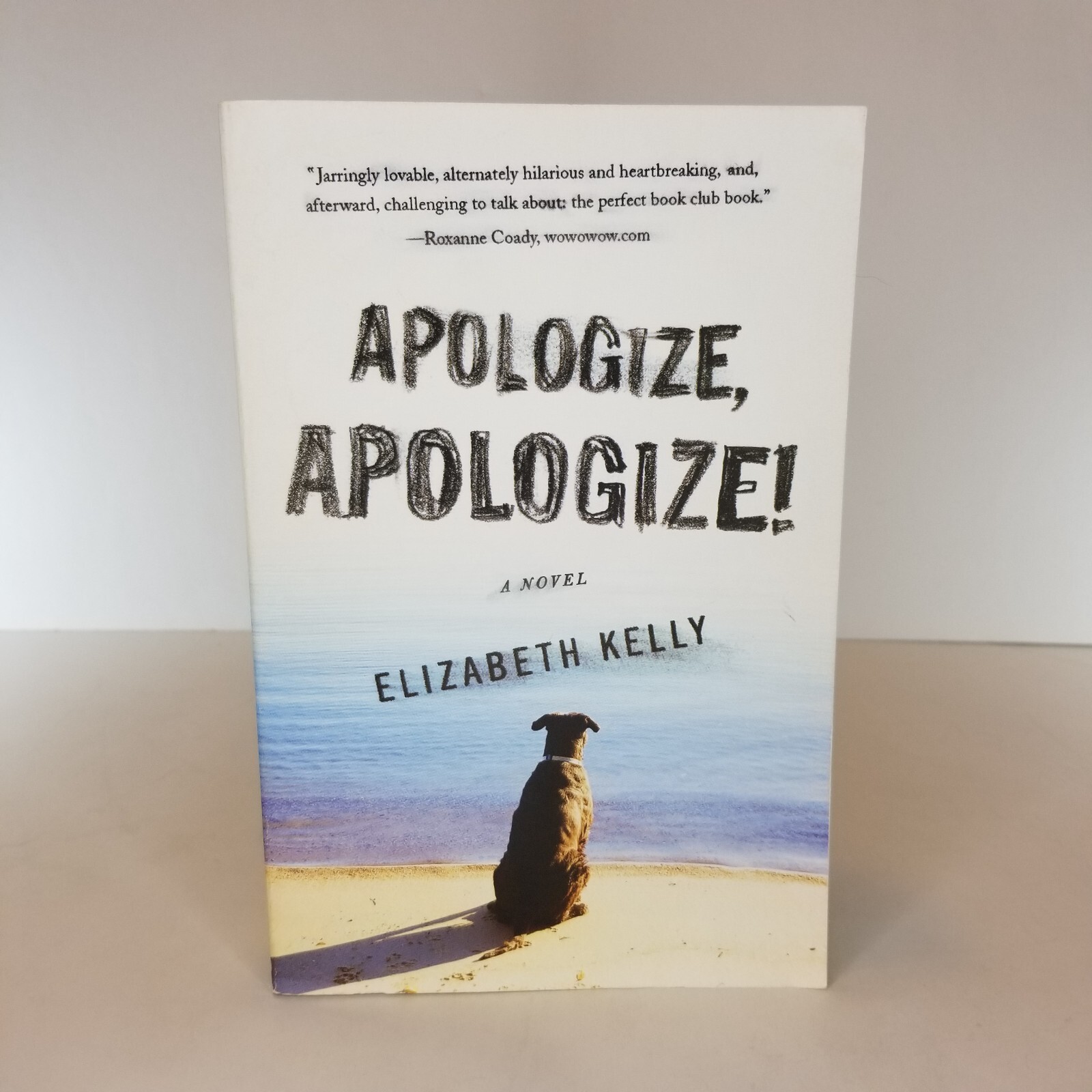 Apologize, Apologize! A Novel by Elizabeth Kelly Paperback Book.