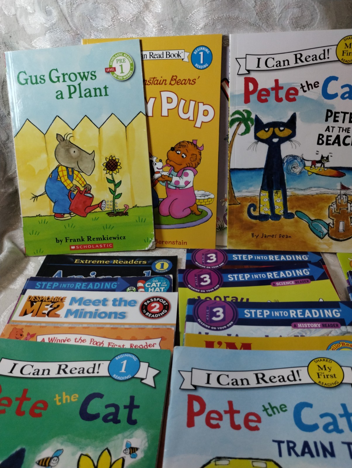 Lot Of 30 Early Beginnings Young Readers – Levels 1, 2 , 3