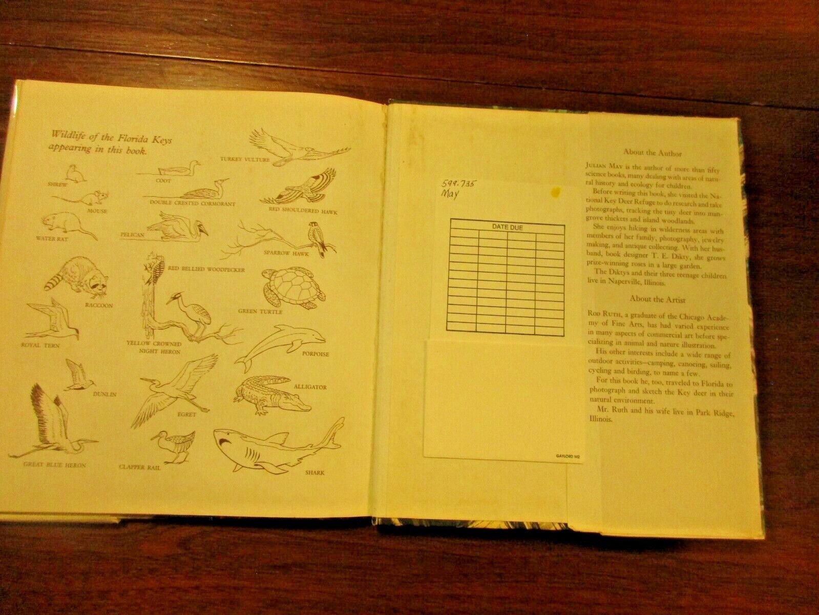 Islands Of The Tiny Deer by Julian May Illustrated by Rod Ruth Wildlife FL Keys