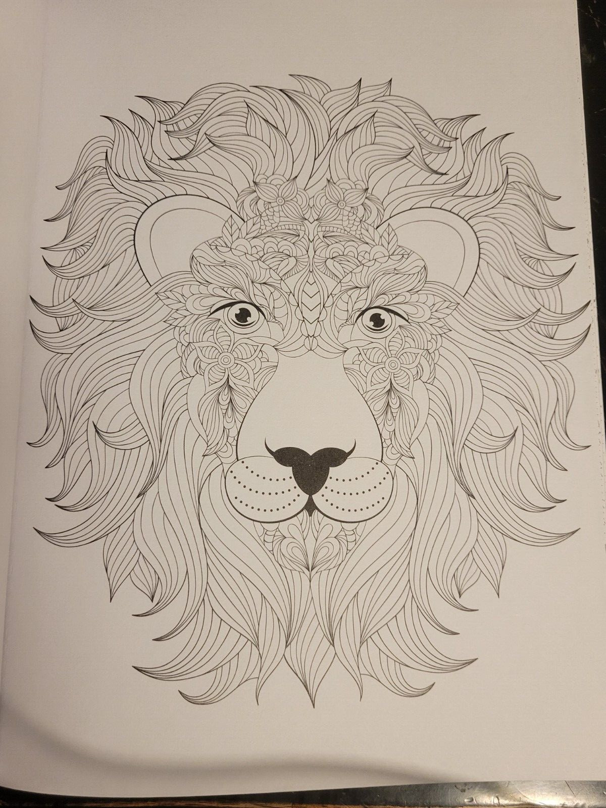 MAJESTIC CREATURES Vol 13 Adult Coloring Book With 47 Prints Ready To Frame