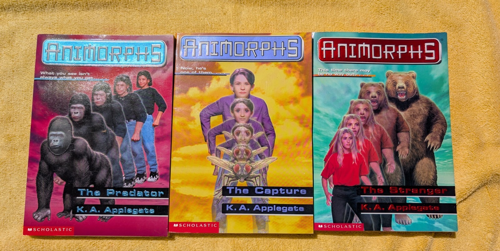 Animorphs Books Lot Of 19